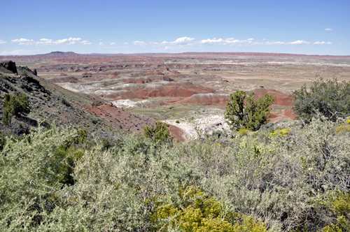 Tawa Point at the Painted Desert